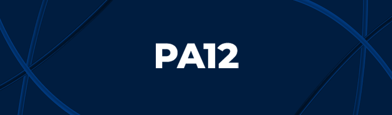 PA12